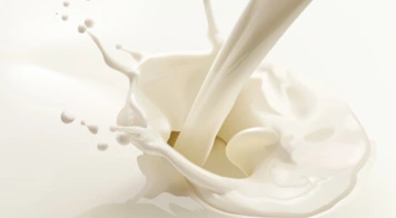Analysis of Bacterial Detection in Dairy Products with NIR Spectroscopy