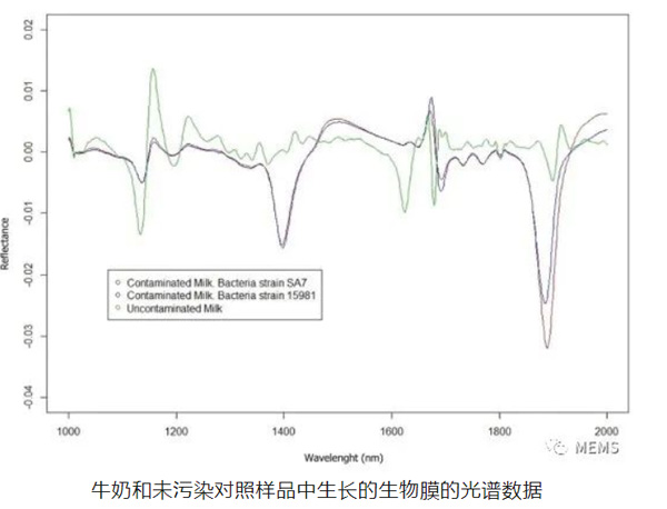 Analysis-of-Bacterial-Detection-in-Dairy-Products-with-NIR-Spectroscopy.jpg